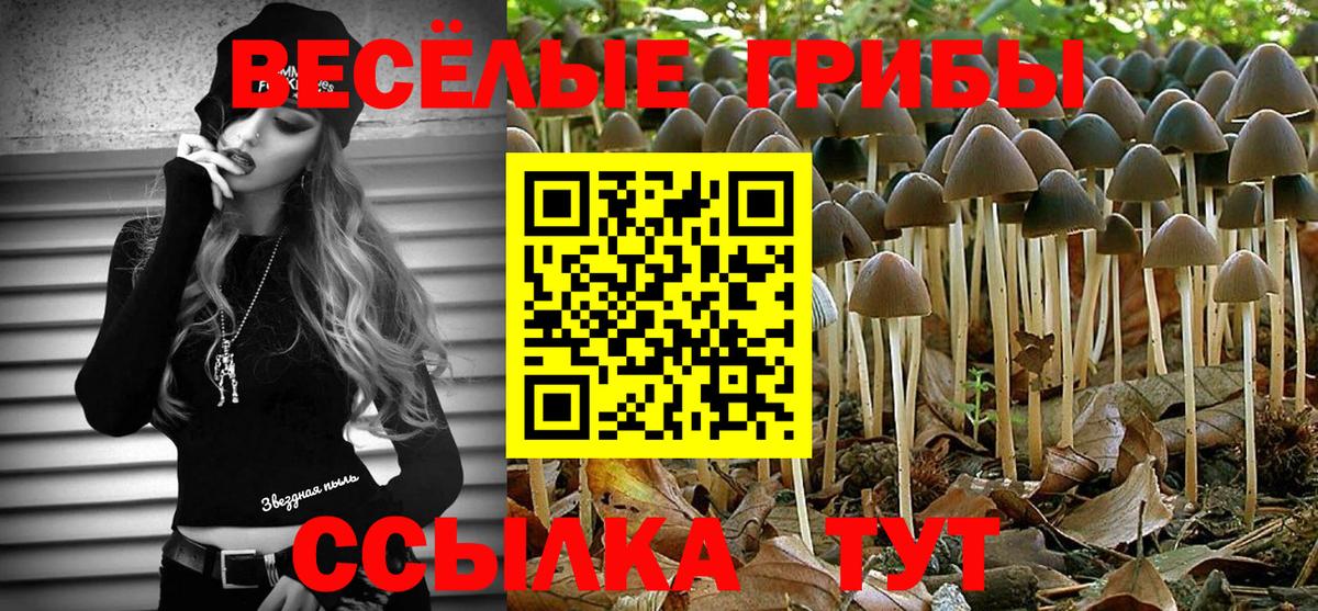 Галлюциногенные грибы мухоморы  Вход с VPN  Балтийск 